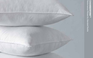 where can you find chamberfirm pillows from Standard Textile