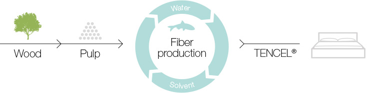 a graphic showing how Tencel fiber is made