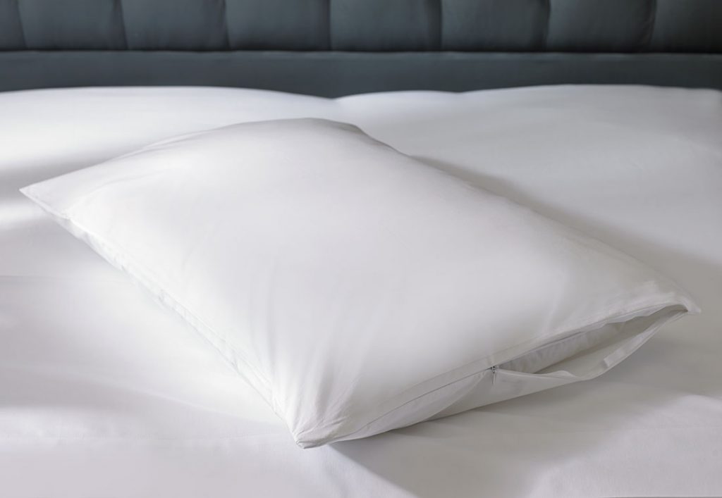 a pillow inside of a zippered pillow protector