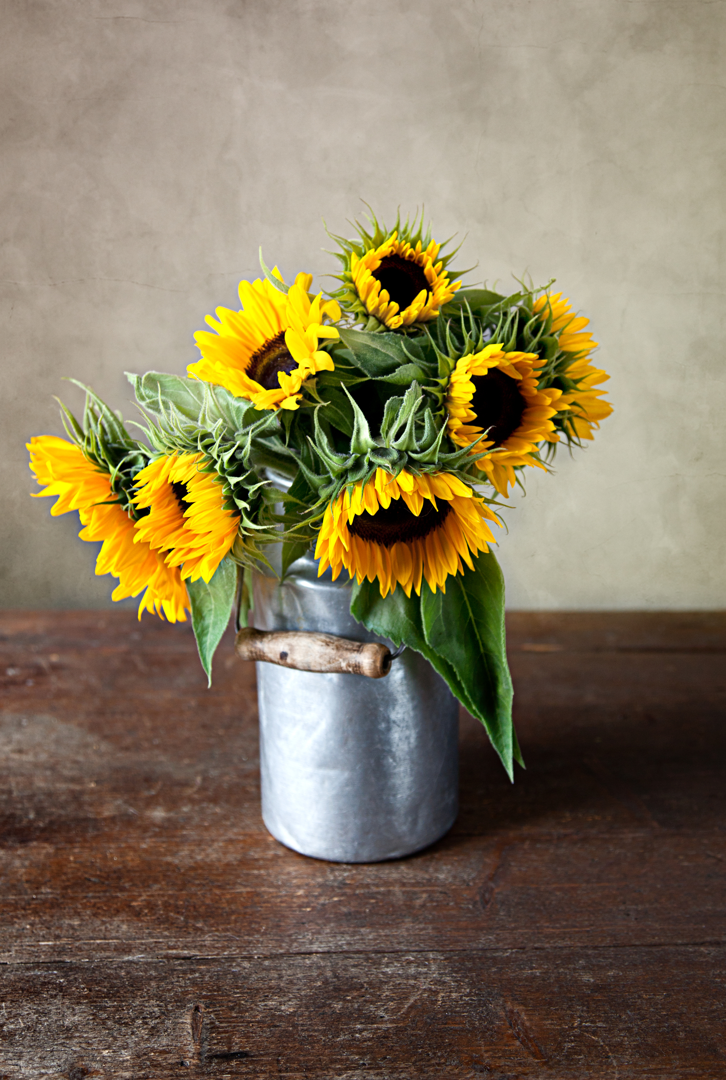 sunflowers in a metal bucket