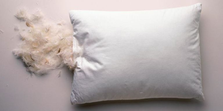 a pillow leaking feathers