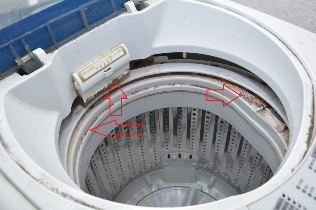 an image showing where mold builds up in a washing machine