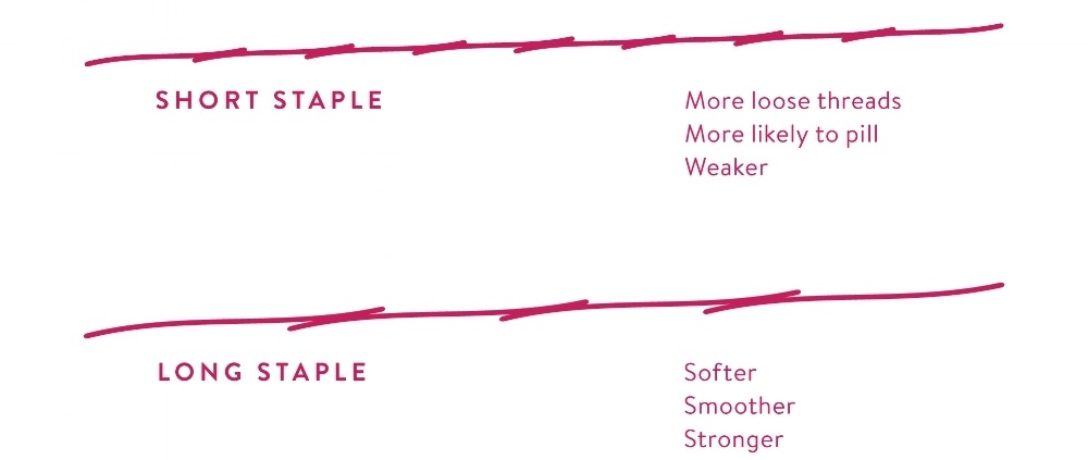 comparison of short staple and long staple cotton types