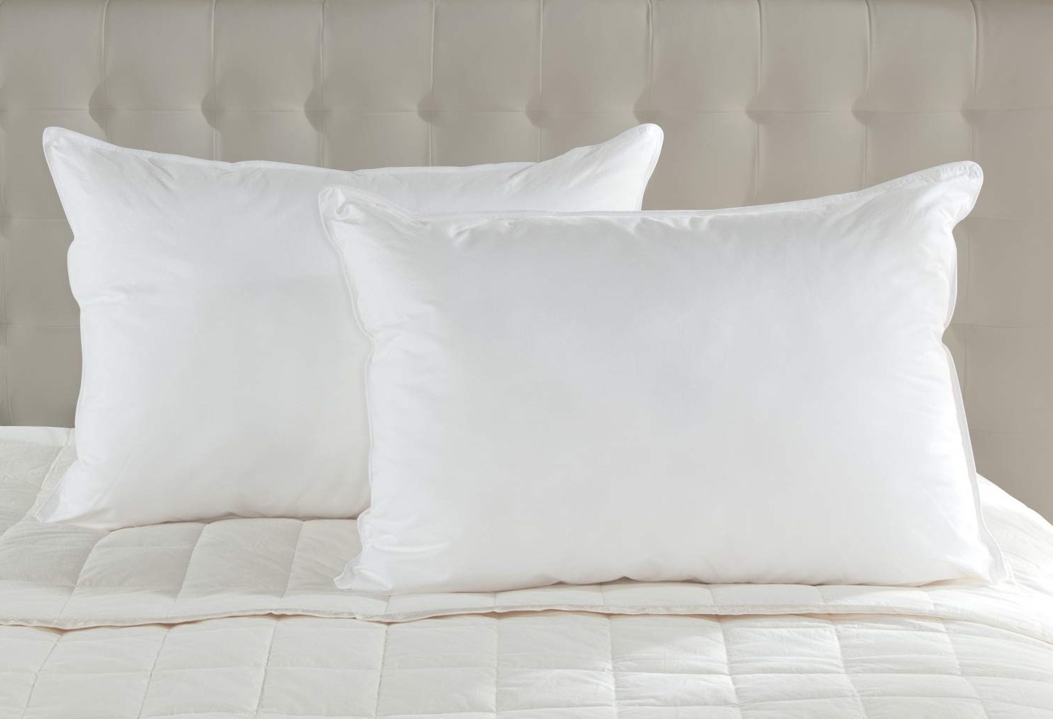 a pair of goose feather and down-filled pillows