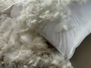 feathers leaking out of a pillow
