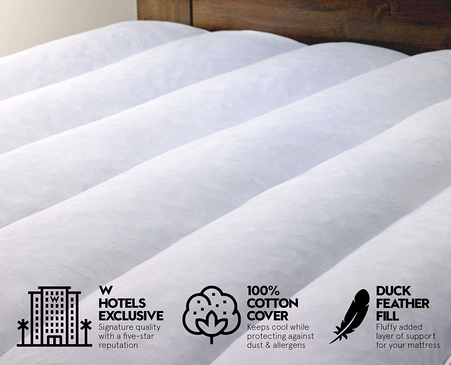 the features of a W Hotel featherbed