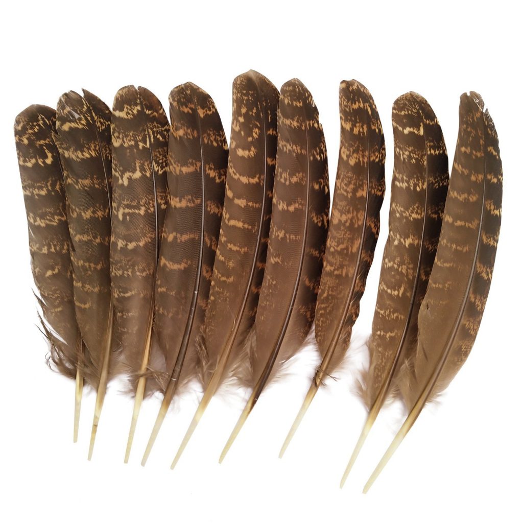 a row of feathers