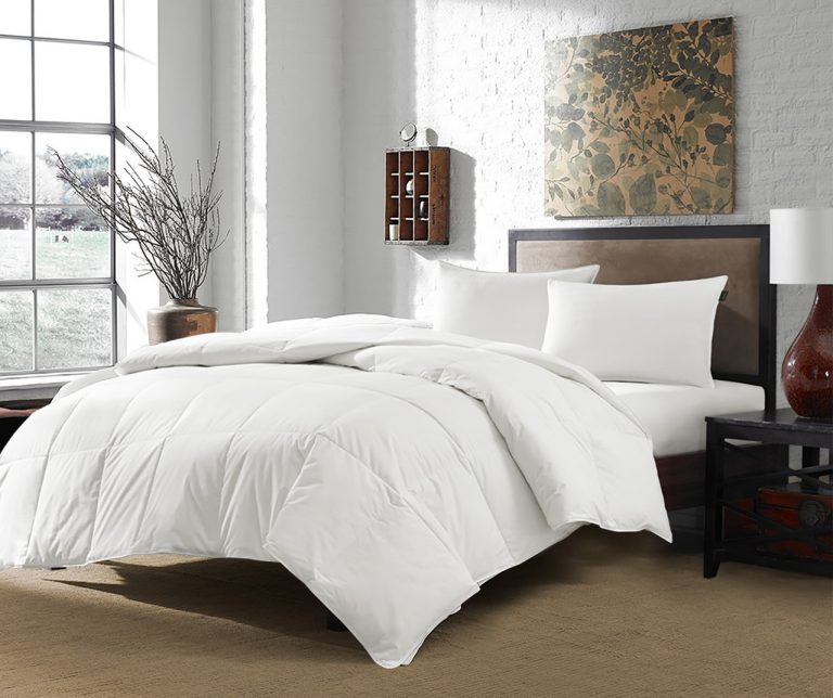 Where To Buy Down Comforters From The Hyatt | Sheet Market