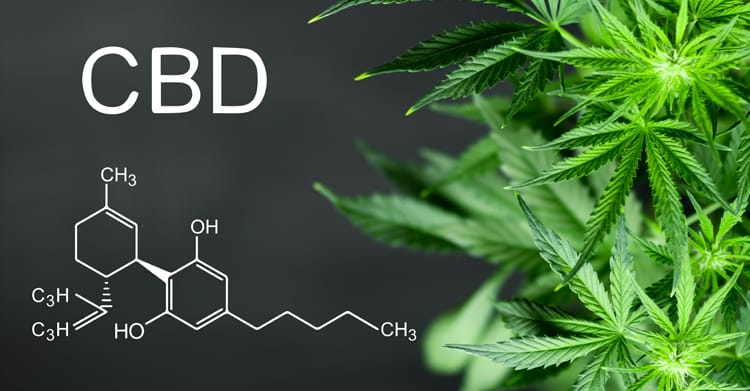 an infographic showing the CBD molecule