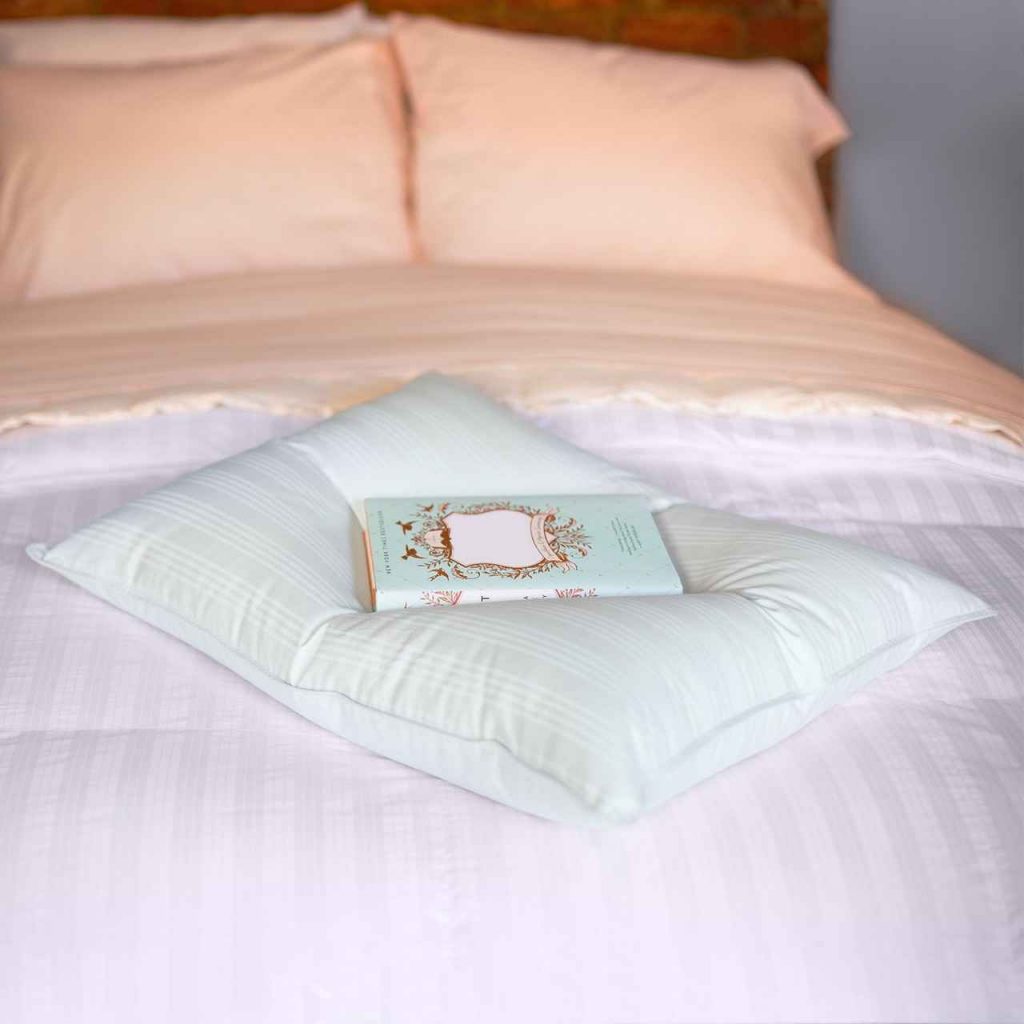 Downlite Extra Soft & Flat White Down Stomach Sleeper Pillow Sheet Market