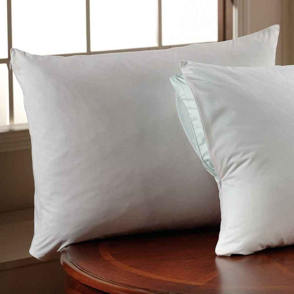 A set of pillows inside of a pillow protector