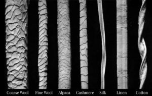 an infographic comparing the fiber structure of different materials